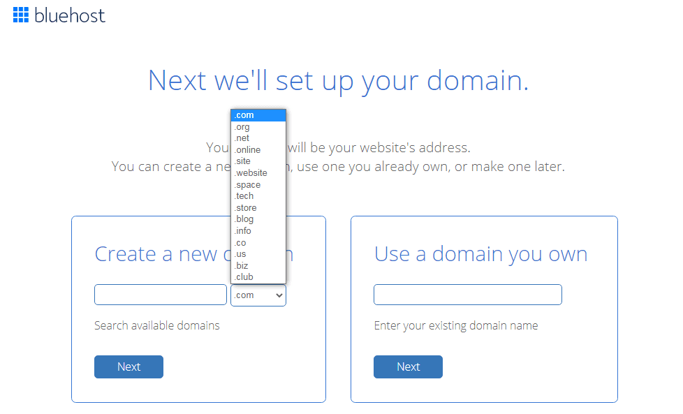 buy your domain name or enter existing domain name 