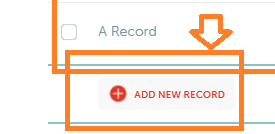click on add new record